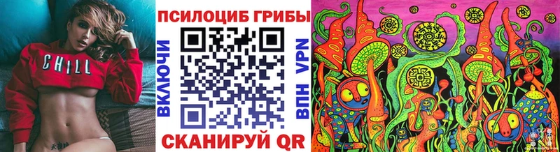 Псилоцибиновые грибы Psilocybine cubensis  Зима 